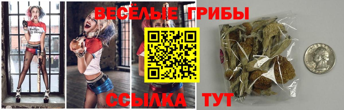 Псилоцибиновые грибы Cubensis  Вход с VPN  Лабинск  Галлюциногенные грибы Psilocybe 